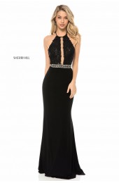 51992 SHERRI HILL