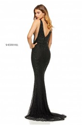 52453 SHERRI HILL